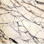 su-jeti-dogal-tas-kesimi-003