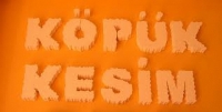 water-jet-kopuk-kesimi-002